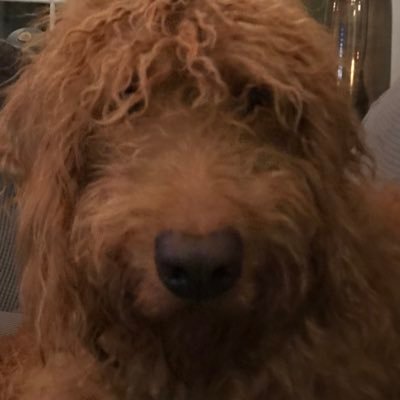 Kent 🇺🇸❌🇨🇦