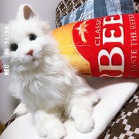 水戸の三十三太郎@ライフコンディショニングする人