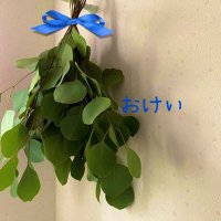 🍎おけい💙🦀⇪