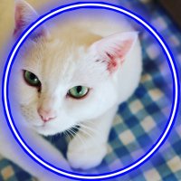 きティゆき😈🐍