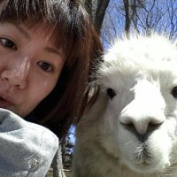 まきのようこ。