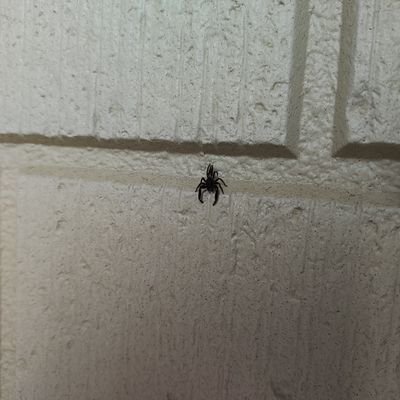 税金@詳しくはプロフィール欄で