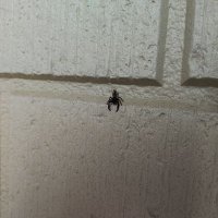 税金@詳しくはプロフィール欄で