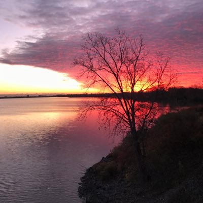 🇺🇸 Aberama Gold 🇺🇸