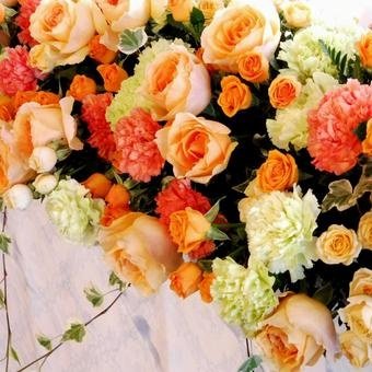 たると🪽🍵→ベリ春2026