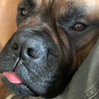 No worry be happy ⚓️