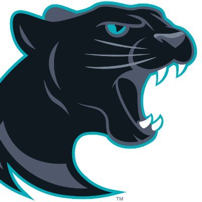 Panther Creek Baseball