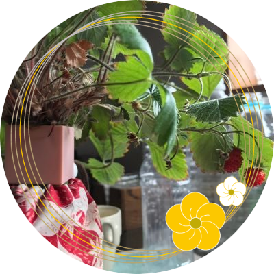 an🇯🇵珈琲好きの眼鏡っ子