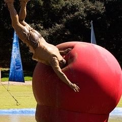 Jake 🌹🏴󠁧󠁢󠁷󠁬󠁳󠁿