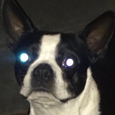 𝒸𝓇𝒾𝓈𝓉𝒾𝓃𝑒🧜🏼‍♀️🇦🇲