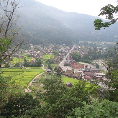 KID❄🌱 🌘💓 🕊✨