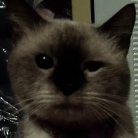 Rui (working on comms)