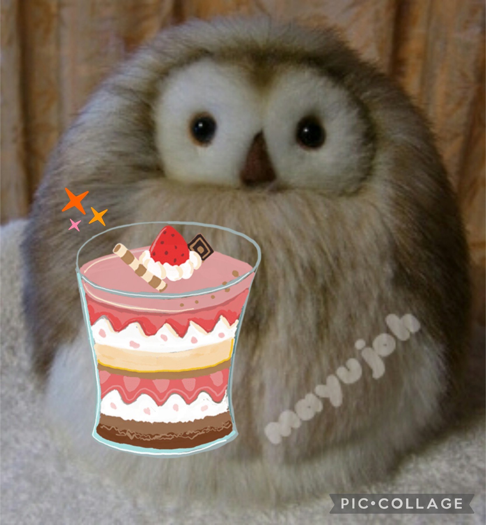 †まゆ†🐈‍⬛