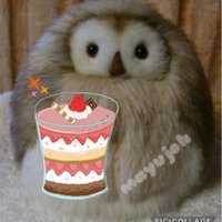 †まゆ†🐈‍⬛