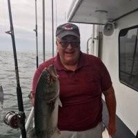 Al Fichman🟦✡️👨🏽‍🍳🏳️‍🌈🐳🍕🦞🚫💰