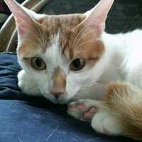 Shu/秀☆ 🥮o(´ω `๑)