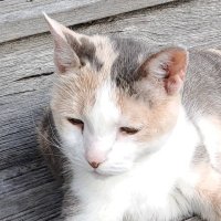 Stanislas φ🔻🐢