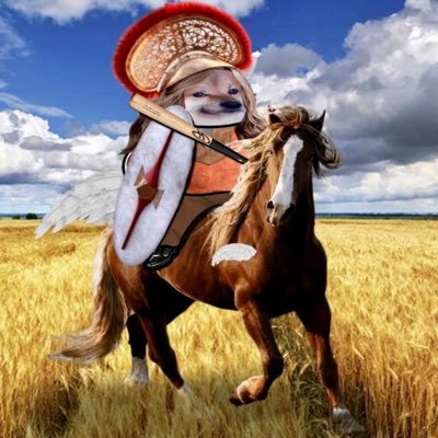 Jane Barker🍃💚🍃🌻🌻🌻