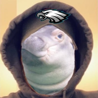 Centrism Fan Acct 🔹