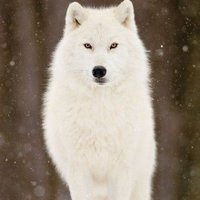 ᚳᛊꓦᛁᚢᛜ💫 🏳️‍🌈