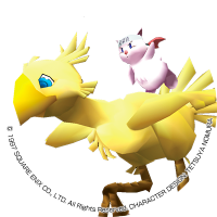 正鵠(セイコク)