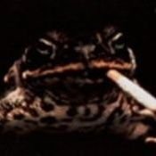 𝗿𝗲𝘇𝗲 𝗶𝗿𝗹