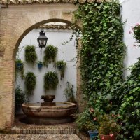 Comprá Campeón, no te la pierdas