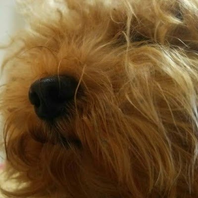 🍣まさやん🍣🍶☔️💜／🔮💟／👶🏻💎／🐮　その2（本アカウント凍結解除迄使用予定）