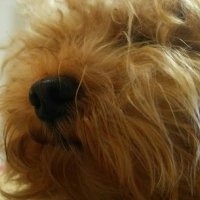 🍣まさやん🍣🍶☔️💜／🔮💟／👶🏻💎／🐮　その2（本アカウント凍結解除迄使用予定）