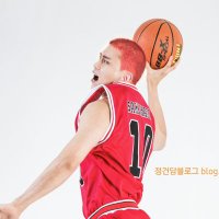 애니천재정건담