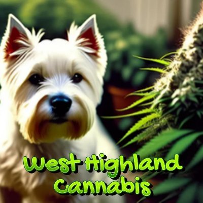 West Highland Cannabis