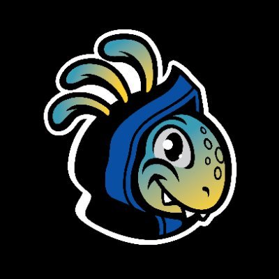 Blizzard CS - The Americas