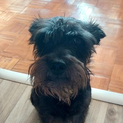 alfanabet🇪🇺🇳🇱🇳🇴🇨🇦🇨🇵🇫🇮🇸🇪🇺🇦🇩🇰🇮🇱