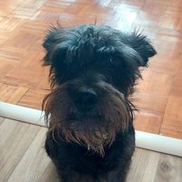 alfanabet🇪🇺🇳🇱🇳🇴🇨🇦🇨🇵🇫🇮🇸🇪🇺🇦🇩🇰🇮🇱