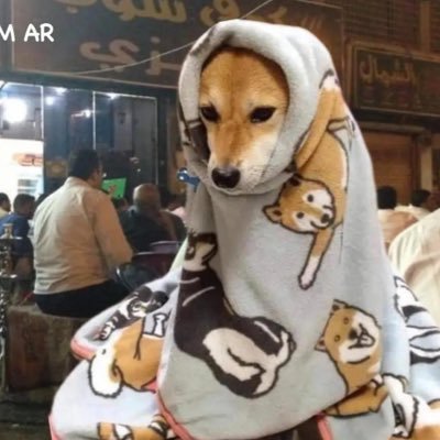 بتر الخواطر