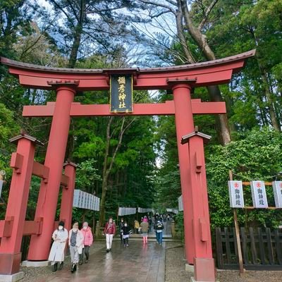 まあきゅん🏴‍☠️