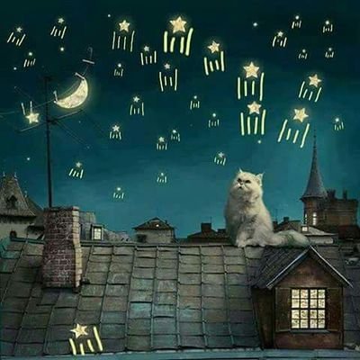 Qualsevol nit pot sortir el sol