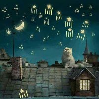 Qualsevol nit pot sortir el sol