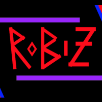 Robiz Slides