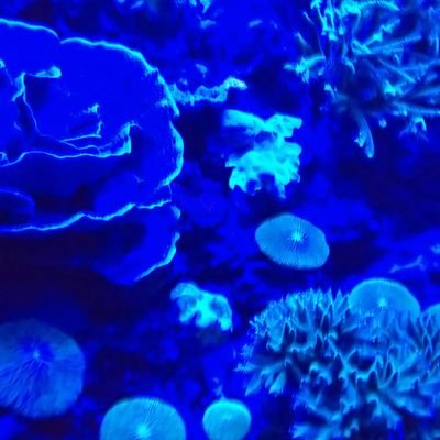 84_10（はっしーさん）