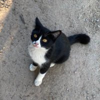 กุเหนื่อยแต่จิงๆแร้วกุกรรณ