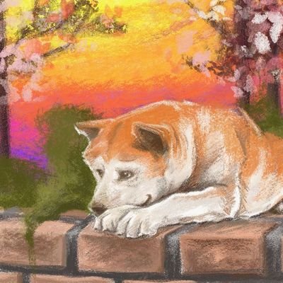 crypto cat )( #asdfasdfa 💊