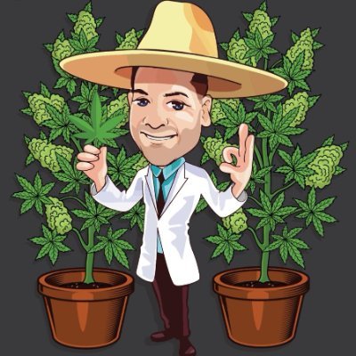 TheSeedConnect