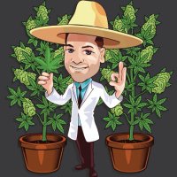 TheSeedConnect