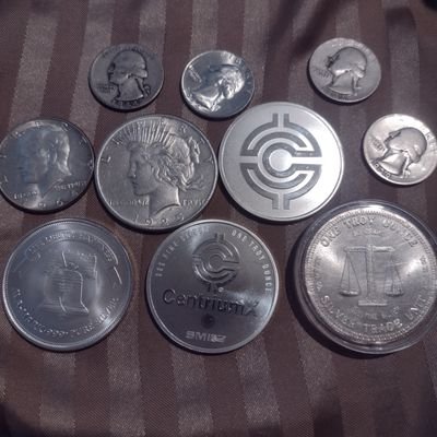 Silver Lady🦉🌕🧙‍♀️🇺🇸