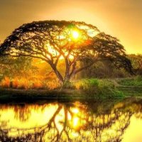 Sue Whaley Bajackson