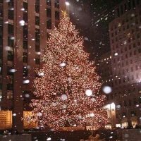 Is It Christmas Yet?