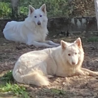 Tania ⁴ 🏎️🏍️