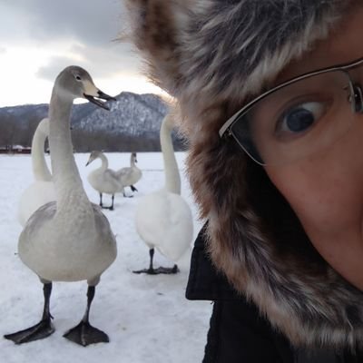 Kenji 🌸 delivering flowers every day 🌸 🐦