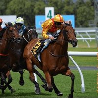 キングクリの血統と騎手を軸に予想を立て結果検証！黒字シミュレーション馬券に投資する馬券術！